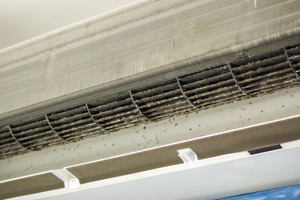Best Affordable HVAC Duct Cleaning  in East Wenatchee, WA